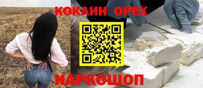 ПСИЛОЦИБИНОВЫЕ ГРИБЫ Камышлов