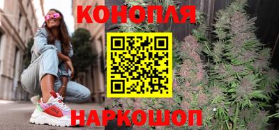 ПСИЛОЦИБИНОВЫЕ ГРИБЫ Камышлов