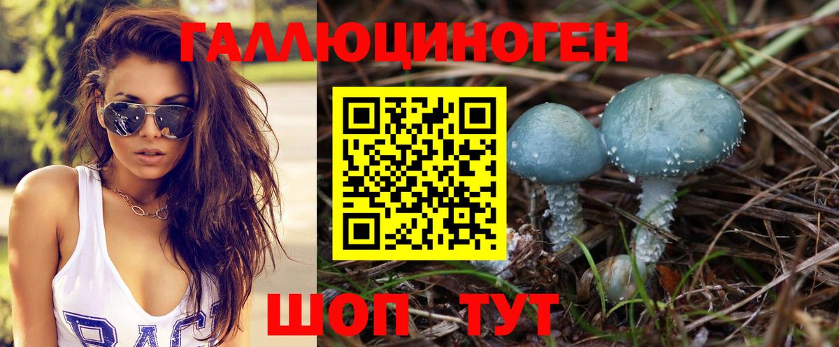 Галлюциногенные грибы прущие грибы Всеволожск