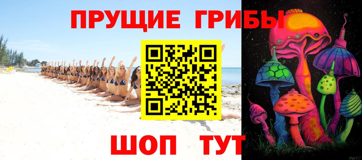 Псилоцибиновые грибы ЛСД  Вход с VPN  Псилоцибиновые грибы MAGIC MUSHROOMS  Всеволожск 